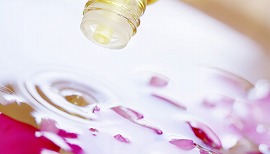 Aigasho通信教育コース