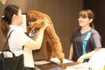 PET BOX Animal Station NAHA 下地はるか