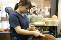 PET BOX Animal Station NAHA 下地はるか