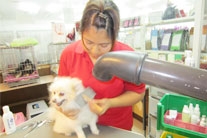 サンバース ペット&グリーン 知念久美