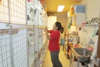 サンバース ペット&グリーン 知念久美