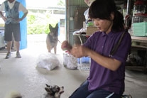 シオン警察犬訓練所　14年勤務。 備瀬順子（ビセ　ジュンコ　）