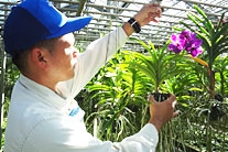 海洋博公園・植物管理チーム（熱帯ドリームセンター担当） 仲松　辰弥