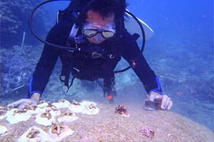 沖電開発株式会社