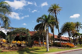 カピオラニ・コミュニティ・カレッジ