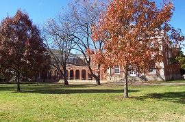 ユニバーシティ・オブ・メリー・ハーディン-ベイラー